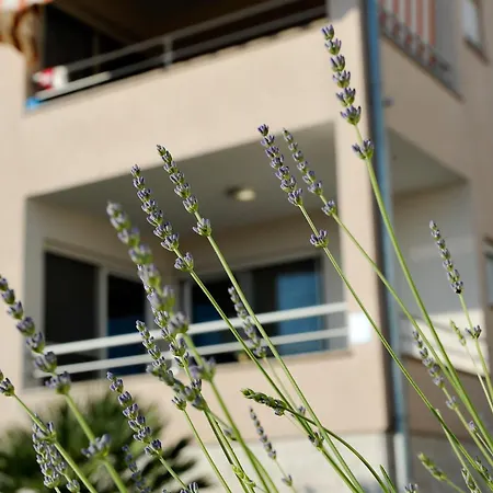 Krissy Apartment *