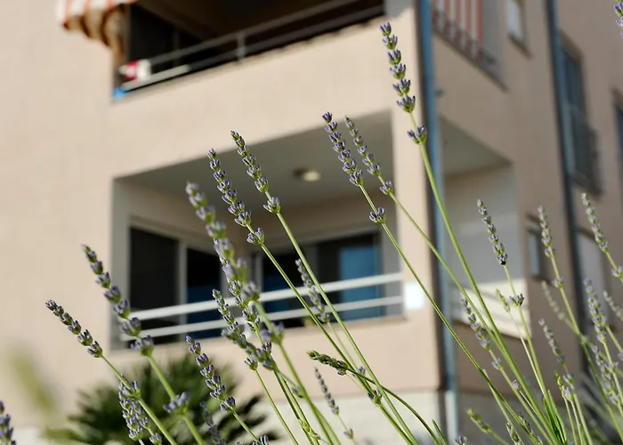 Krissy Apartamento *